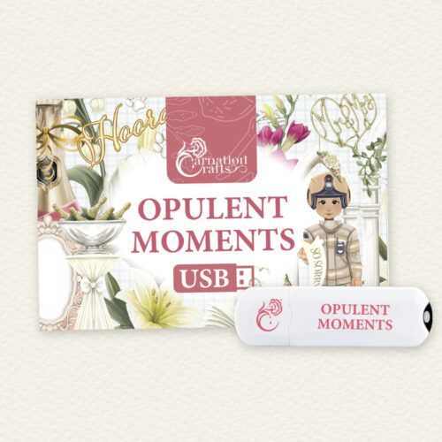 opulent moments usb product image