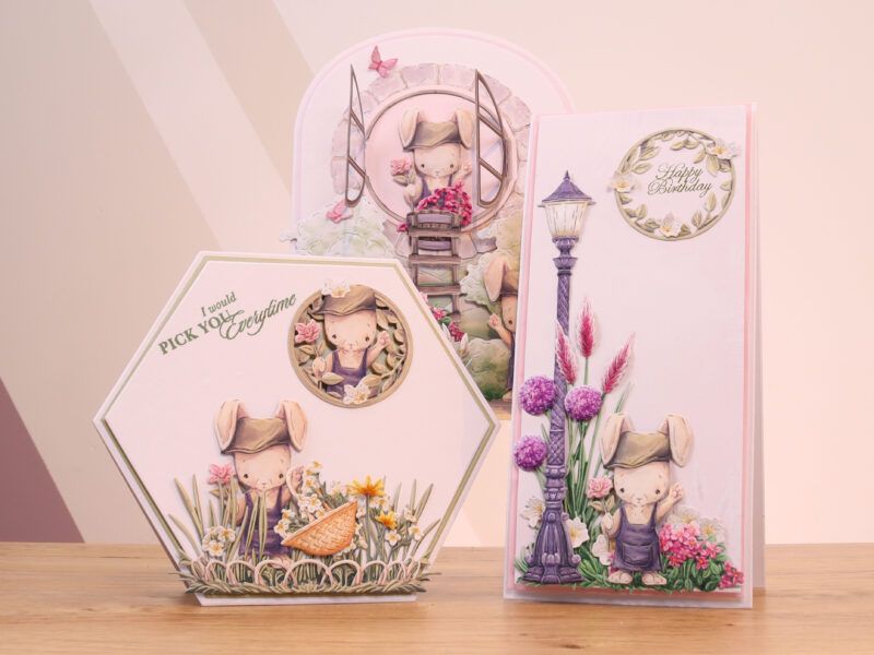 Cards made using the Benny die set