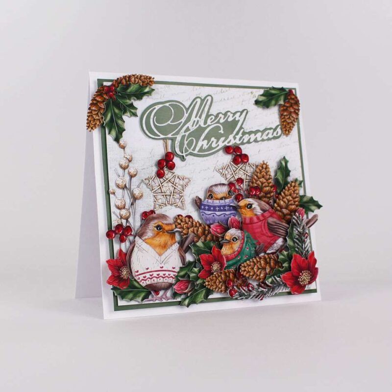 Cards made using Christmas Jumper Special Edition Vignette with a family of Robins wearing Christmas Jumpers