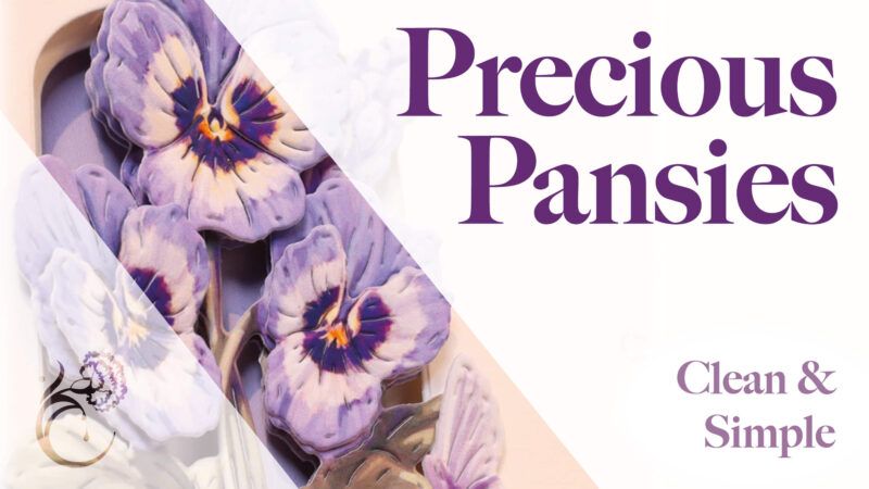Thumbnail for precious pansies launch video