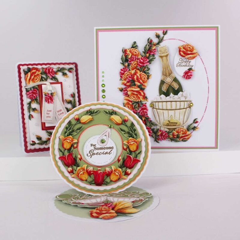 Cards made using the Summer Bliss Special Edition Vignette