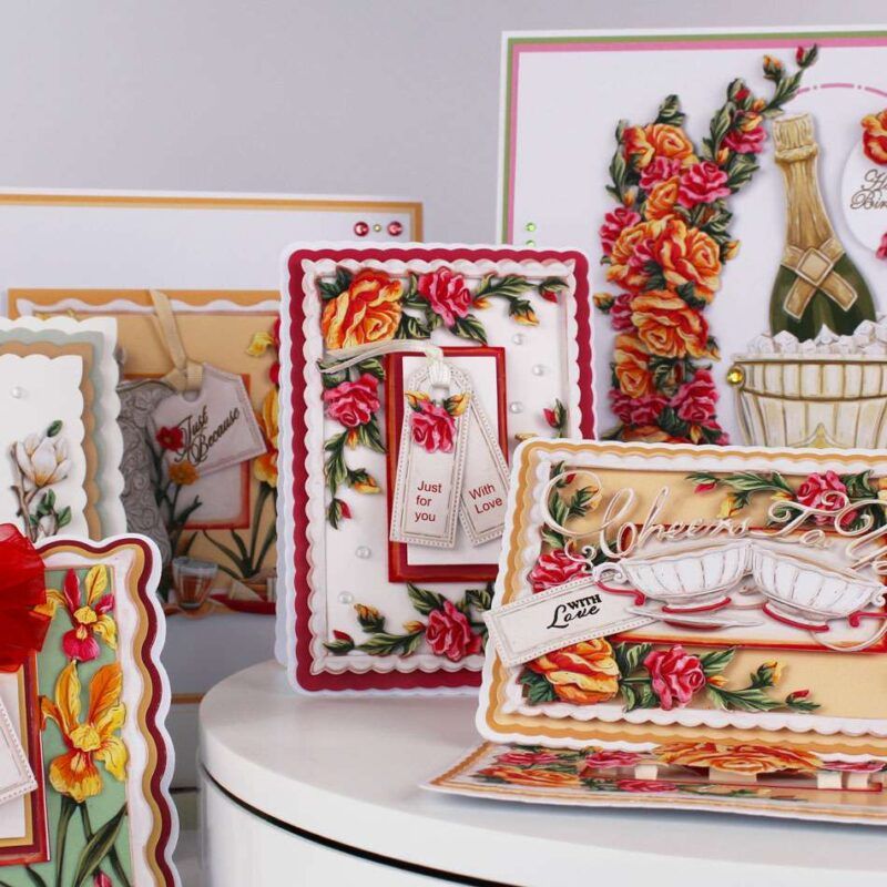 Cards made using the Summer Bliss Special Edition Vignette