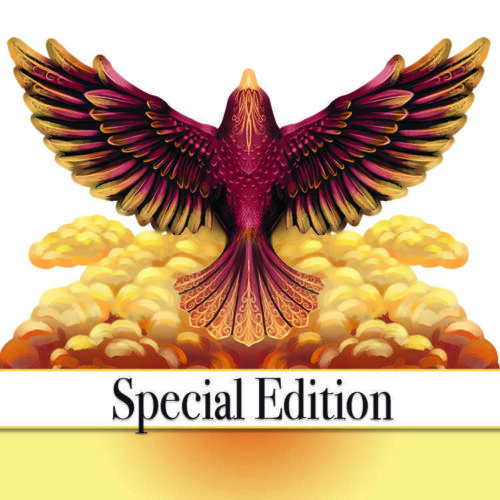 Soaring Dove 3D Card Shape Special Edition Vignette Phoenix Image