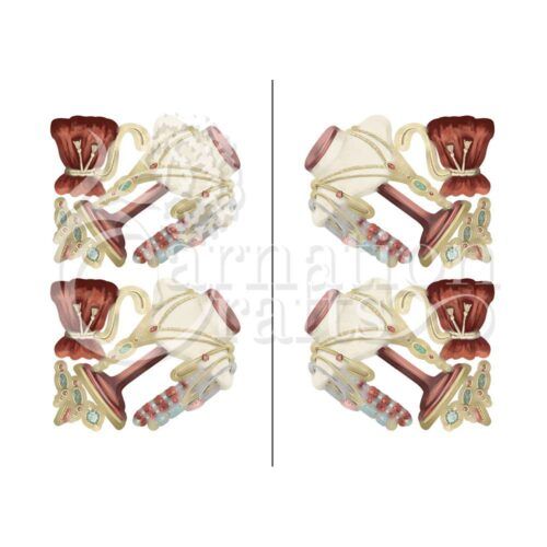 Carnation Crafts Time To Accessorise Vignette Downloads - Vignette 4