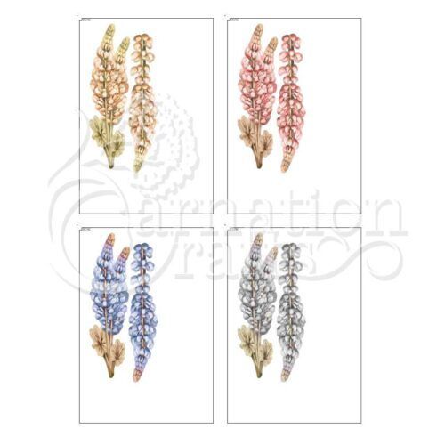 Carnation Crafts Beautiful Calm USB Lupins Additional Vignette Downloads
