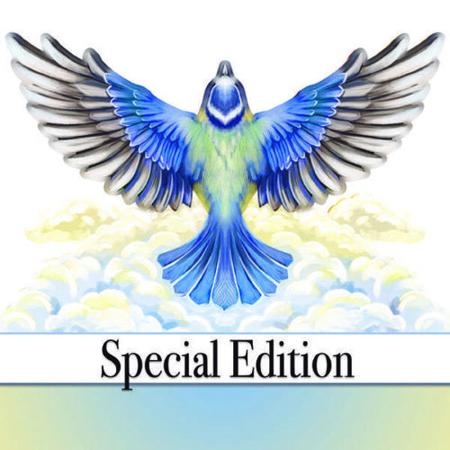 Soaring Dove 3D Card Shape Special Edition Vignette Image