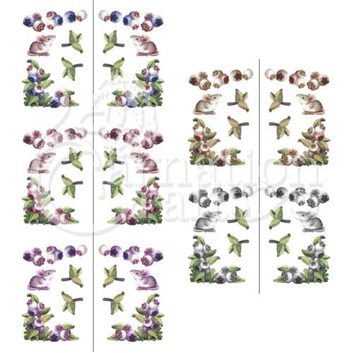 Clean & Simple Plus Sweet Rewards Vignette Downloads