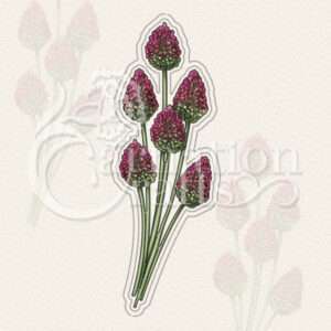 Drumstick Alliums Die Set