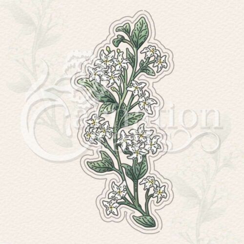 Climbing Jasmine Die Set