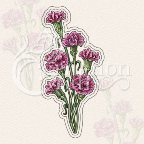 Carnation Flurry Die Set