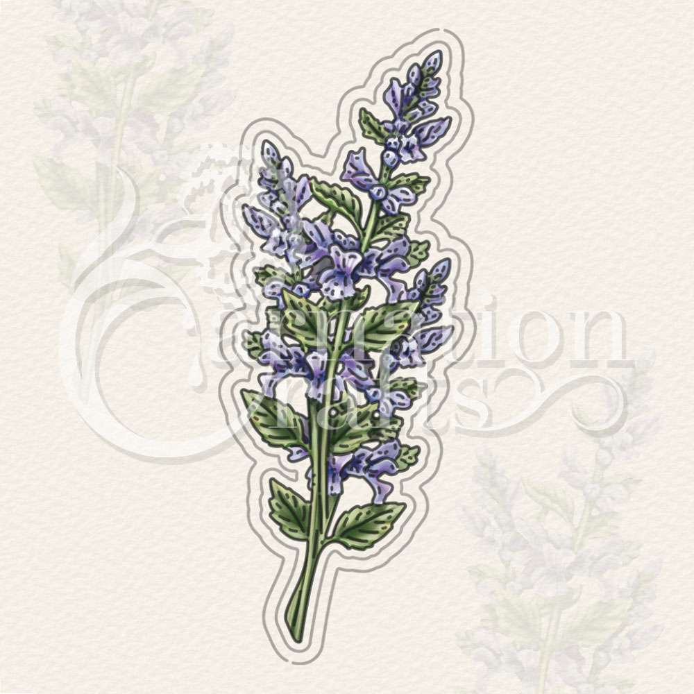 Catmint Die Set
