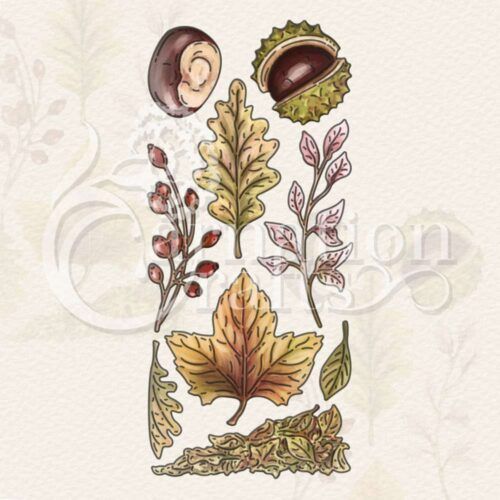 All About Autumn Die Set