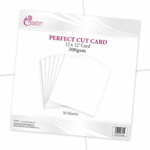 Perfect Cut 12x12 Card