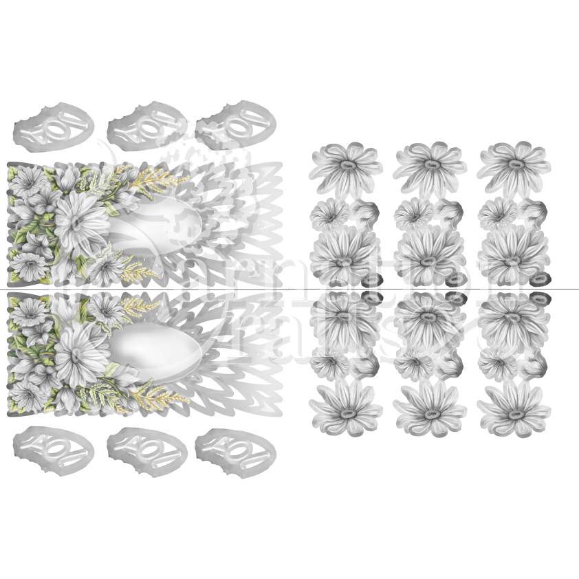Daisy rays Vignette 5 Download