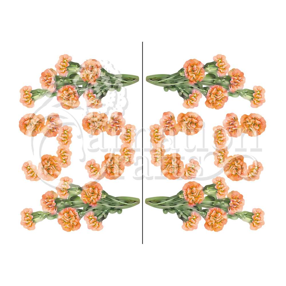 Carnation Flurry Vignette 4 Download