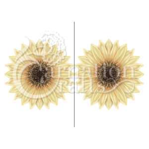 Sunflower Card Shape Vignette 1 Download