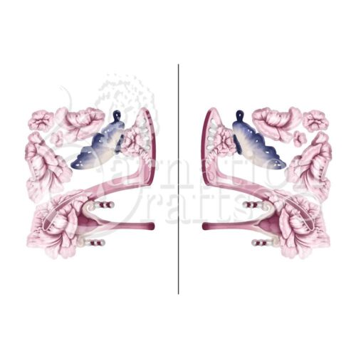 Carnation Crafts Carnation Shoe Remastered Vignette Downloads - Vignette 1