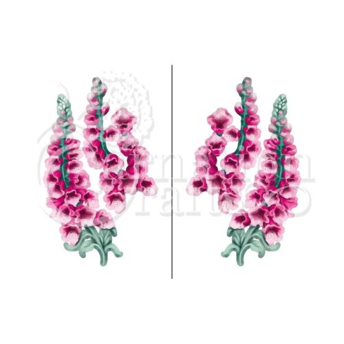 Carnation Crafts Foxgloves Vignette Downloads - Vignette 1