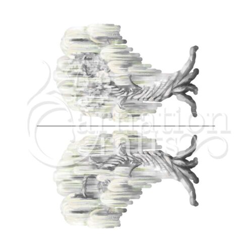 Carnation Crafts Weeping Willow Vignette Downloads - Vignette 5