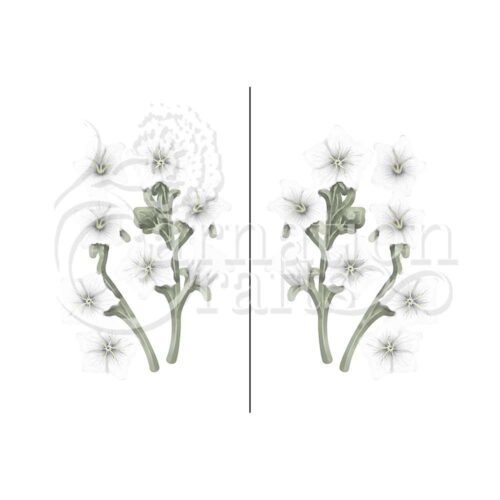 Carnation Crafts Balloon Flower Vignette Downloads - Vignette 5