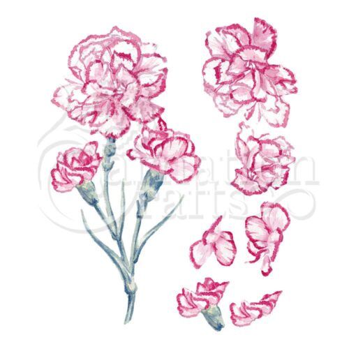 Carnation ECM Download
