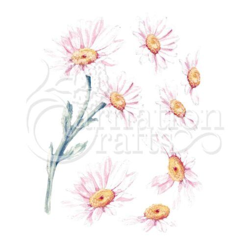 Daisy ECM Download