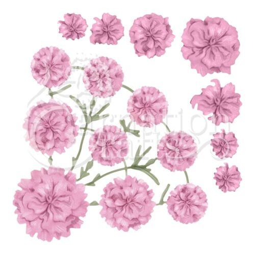 Fan-tastic Carnation ECM Download