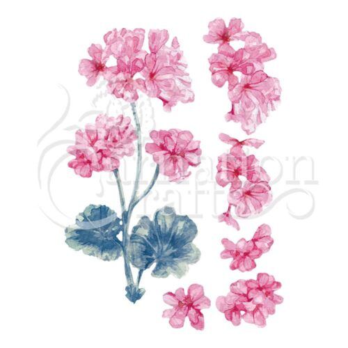 Geranium ECM Download