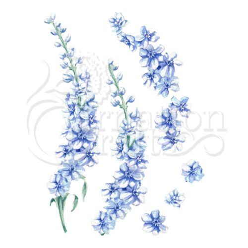 Larkspur ECM Download