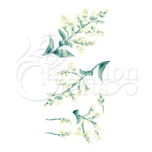 Privet ECM Download
