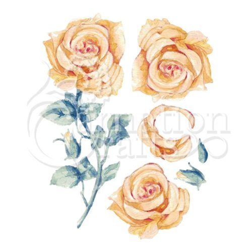 Rose ECM Download