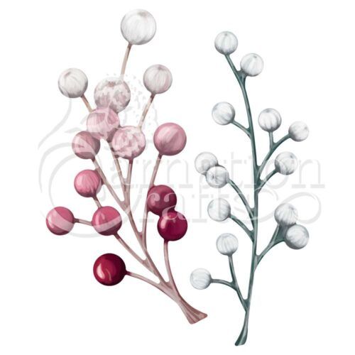 Burst Of Berries ECM Download