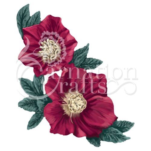 Christmas Rose ECM Download