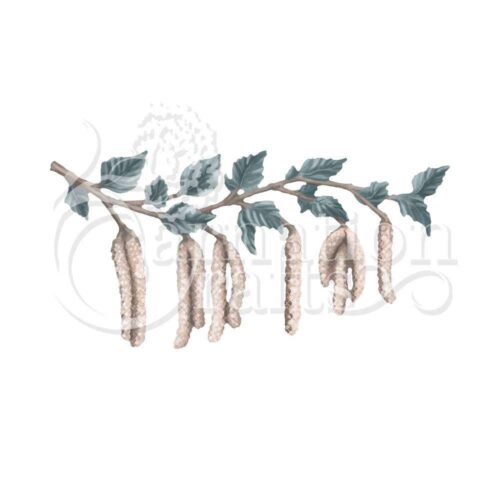 Catkins ECM Download