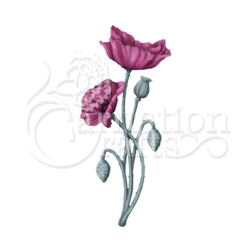 Poppy ECM Download