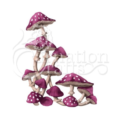 Toadstool Flurry ECM Download