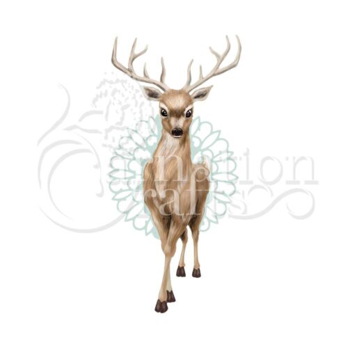 White Tail ECM Download