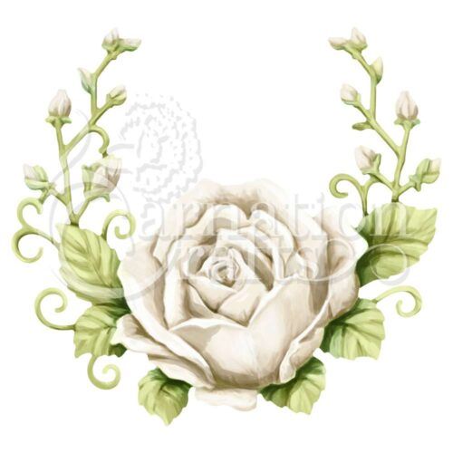 Remembrance Rose ECM Download