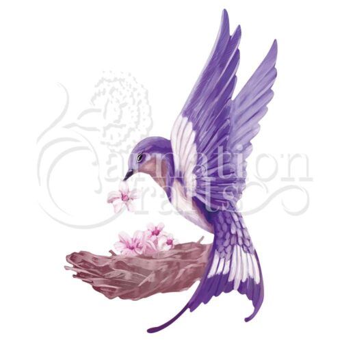 Birds Nest ECM Download