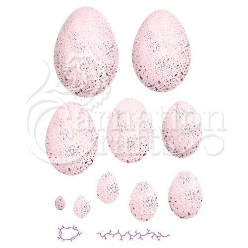 Special Speckles ECM Download