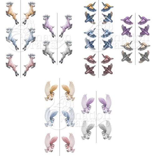 Carnation Crafts Fauna In Motion Collection Complete Colourway Download
