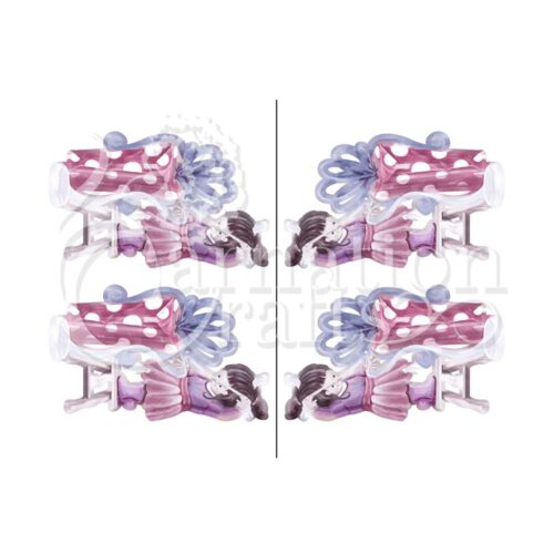 Carnation Crafts Wrapped With Love Vignette Downloads - Vignette 2