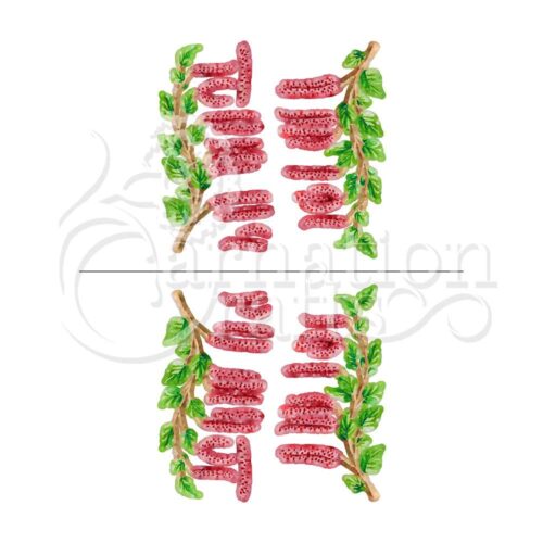 Carnation Crafts Catkin Vignette Downloads - Vignette 4