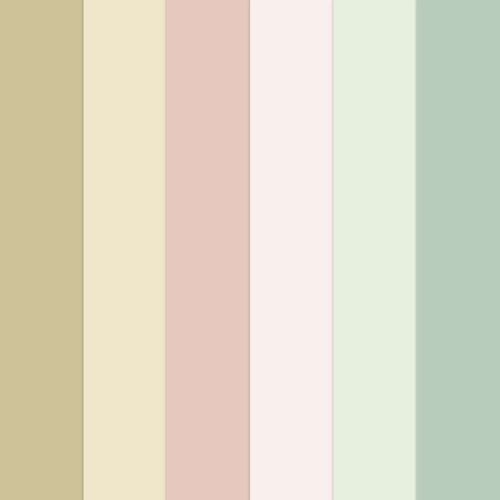 Carnation Crafts Especially For You Coloured Cardstock Download