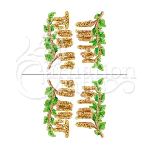 Carnation Crafts Catkin Vignette Downloads - Vignette 1