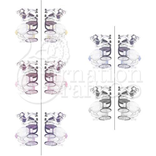 Carnation Crafts Grand Carriage Vignette Downloads