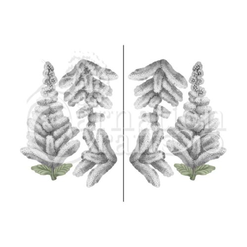 Carnation Crafts Astilbe Vignette Downloads - Vignette 5