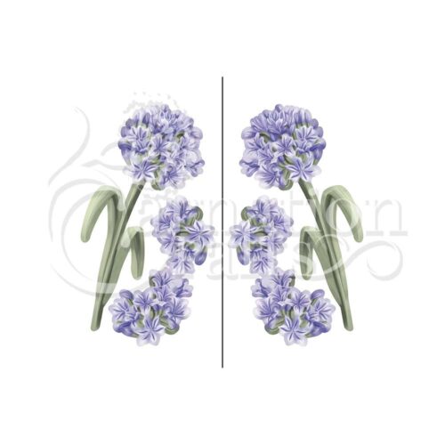 Carnation Crafts Agapanthus Vignette Downloads - Vignette 1
