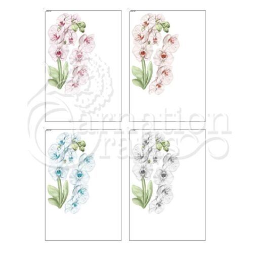 Carnation Crafts For The Occasion USB Orchid Additional Vignette Downloads