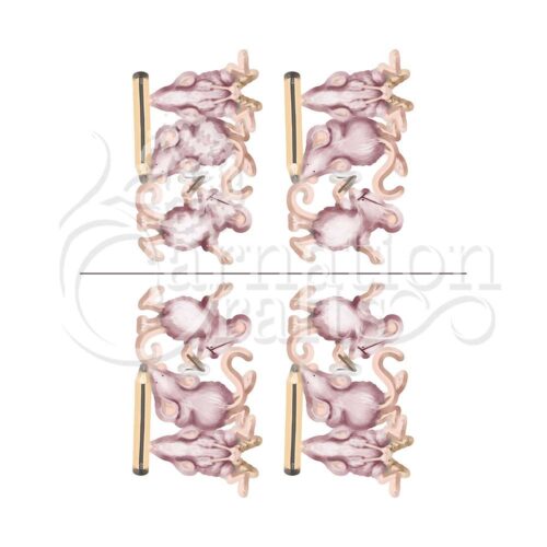 Carnation Crafts The Creators Vignette Downloads - Vignette 5